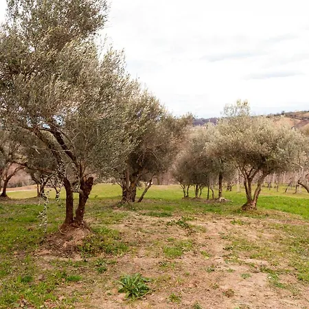 Casa Pace E Gioia Tolentino