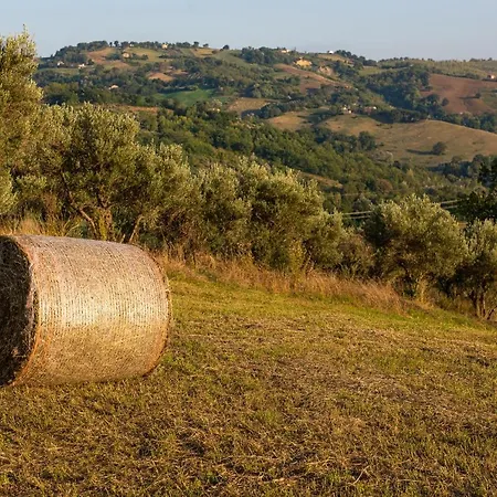 Villa Casa Pace E Gioia *