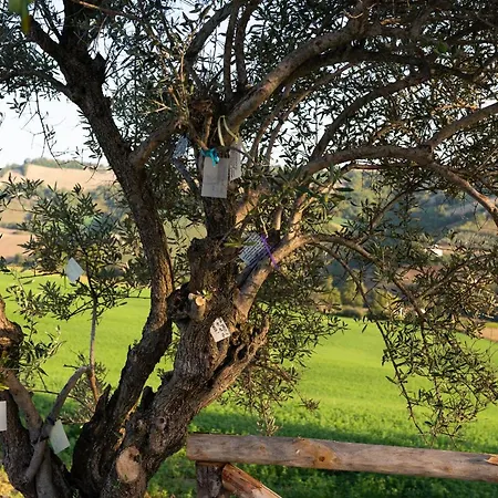 Casa Pace E Gioia *