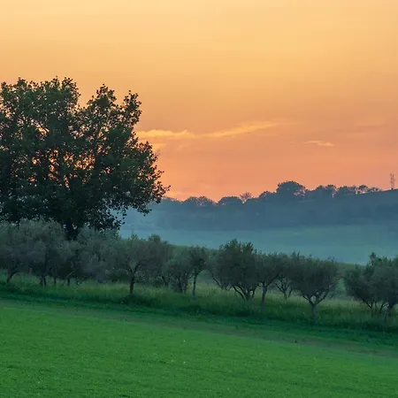 Villa Casa Pace E Gioia Tolentino