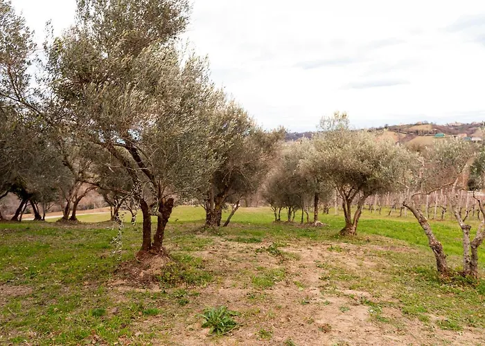 Casa Pace E Gioia Tolentino